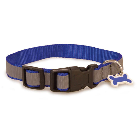 Collar reflectante azul - Arquivet