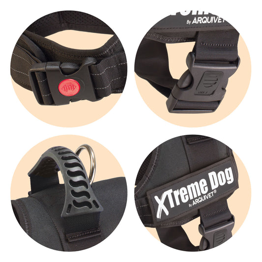Arnés Xtreme Dog - Negro