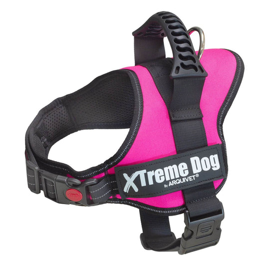 Arnés Xtreme Dog - Arquivet