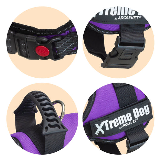 Arnés Xtreme Dog - Lila
