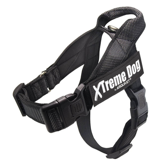 Harnais pour chien Classic Xtreme - Arquivet