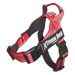 Arnés Classic Xtreme Dog - Arquivet