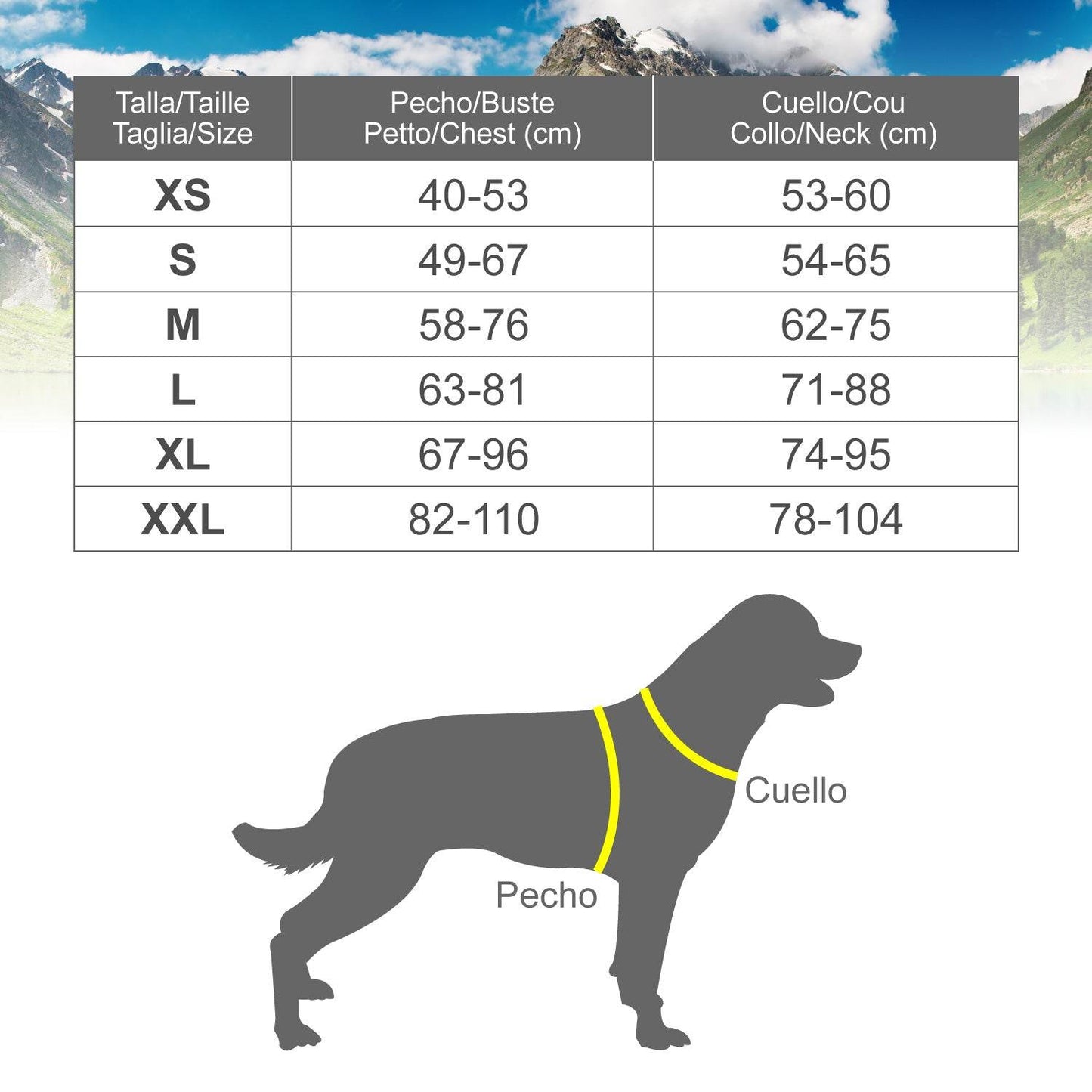 Arnés Classic Xtreme Dog - Arquivet