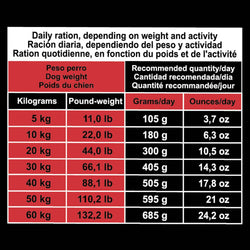 Original - Pienso de Cerdo Ibérico y Arroz - Arquivet