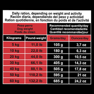 Original - Pienso de Cerdo Ibérico y Arroz - Arquivet