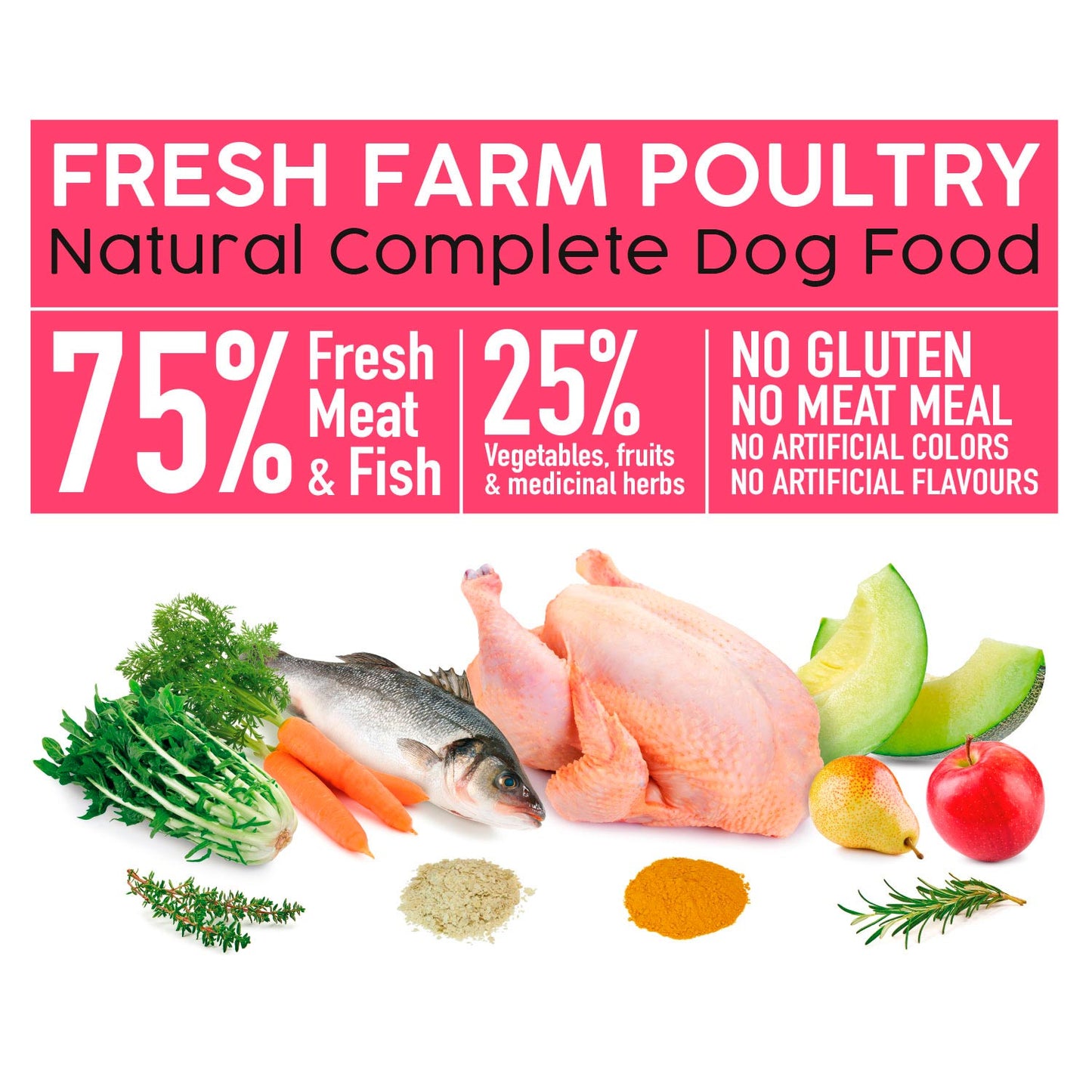 Alimento semi-seco com frango do campo - Fresh