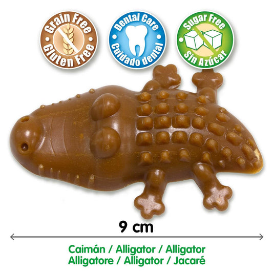 DENTAL TREATS Alligator 9cm/28g (Expo 60 un.) - Arquivet
