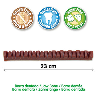 DENTAL TREATS Jaw Bone - Arquivet