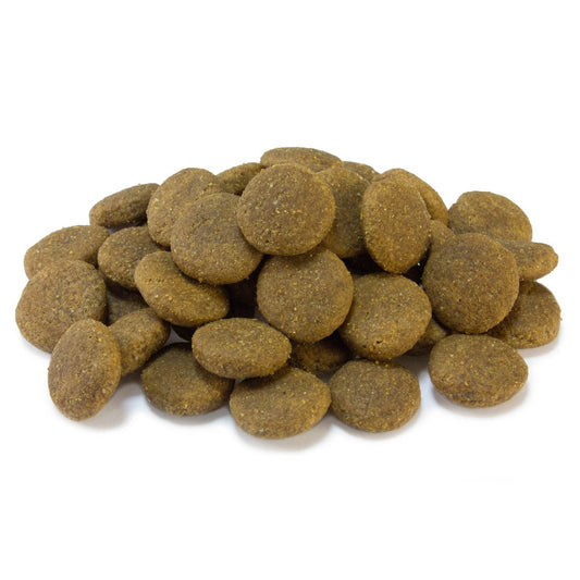 Pienso Super Premium de Pollo y Arroz para perros de razas grandes (carne fresca) - Arquivet
