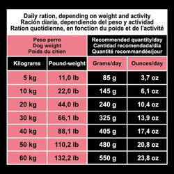 Original - Salmon and Rice Feed - Arquivet