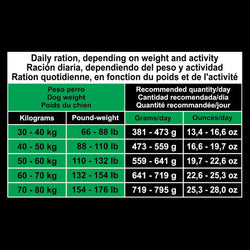 Super Premium Chicken and Rice Dog Food for Large Breeds (Fresh Meat) - Arquivet
