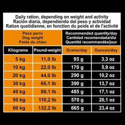 Original-Pienso de Pollo y Arroz para razas pequeñas - Arquivet