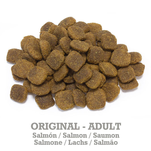 Original - Pienso de Salmón y Arroz - Arquivet