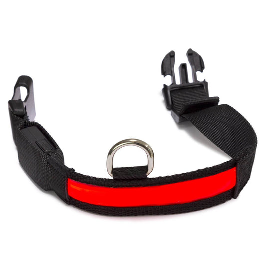 Collar luminoso LED - Arquivet