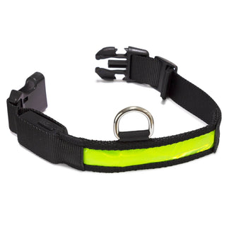 Collar luminoso LED - Arquivet