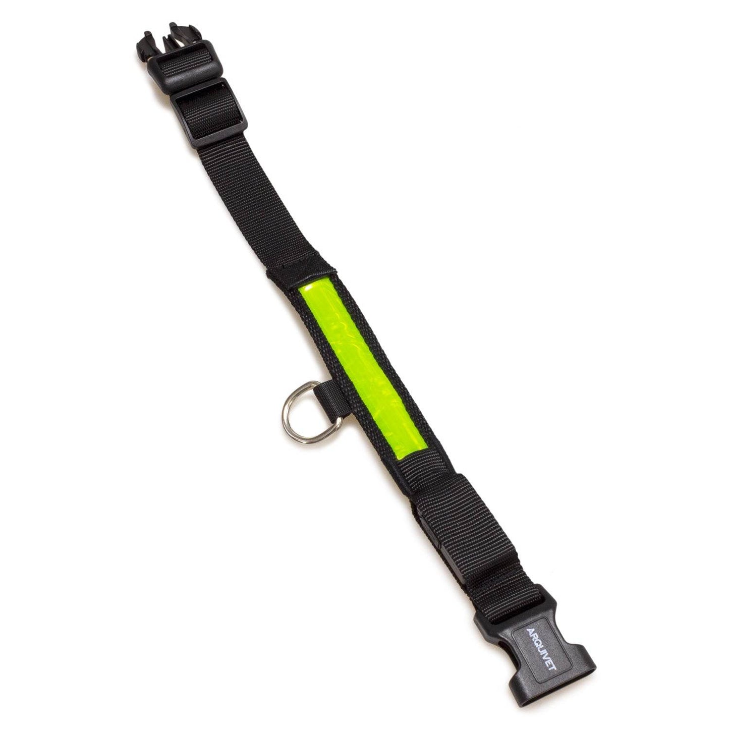 Collar luminoso LED - Arquivet