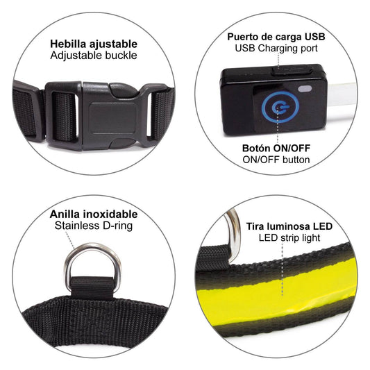 Collar luminoso LED - Arquivet