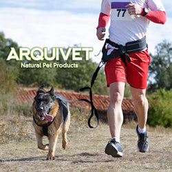 Cinturón con correa para Canicross - Arquivet
