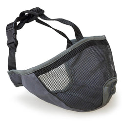 Short snout muzzle - Arquivet