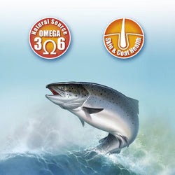 Scottish Salmon Oil - Arquivet