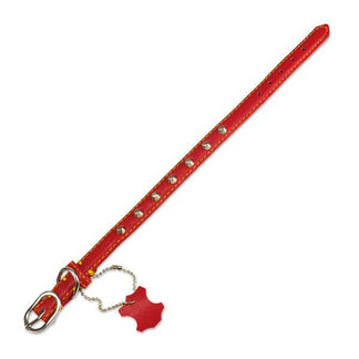 Collar piel basico rojo - Arquivet