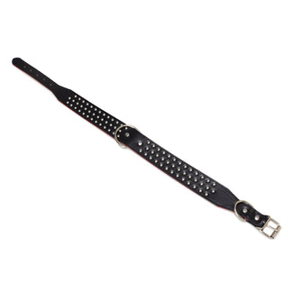 Collar piel puas triple negro 4 x 61 cm - Arquivet