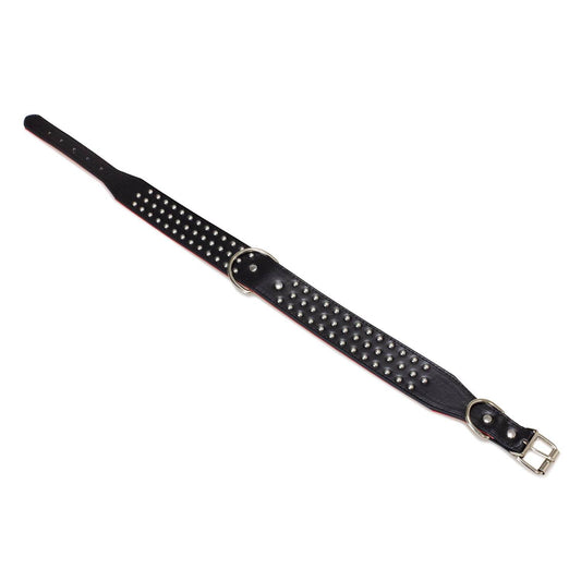 Collar piel puas triple negro 4 x 61 cm - Arquivet