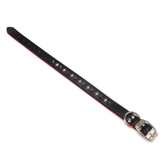 Collar de piel con puas negro - Arquivet