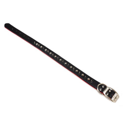 Black spiked leather collar - Arquivet