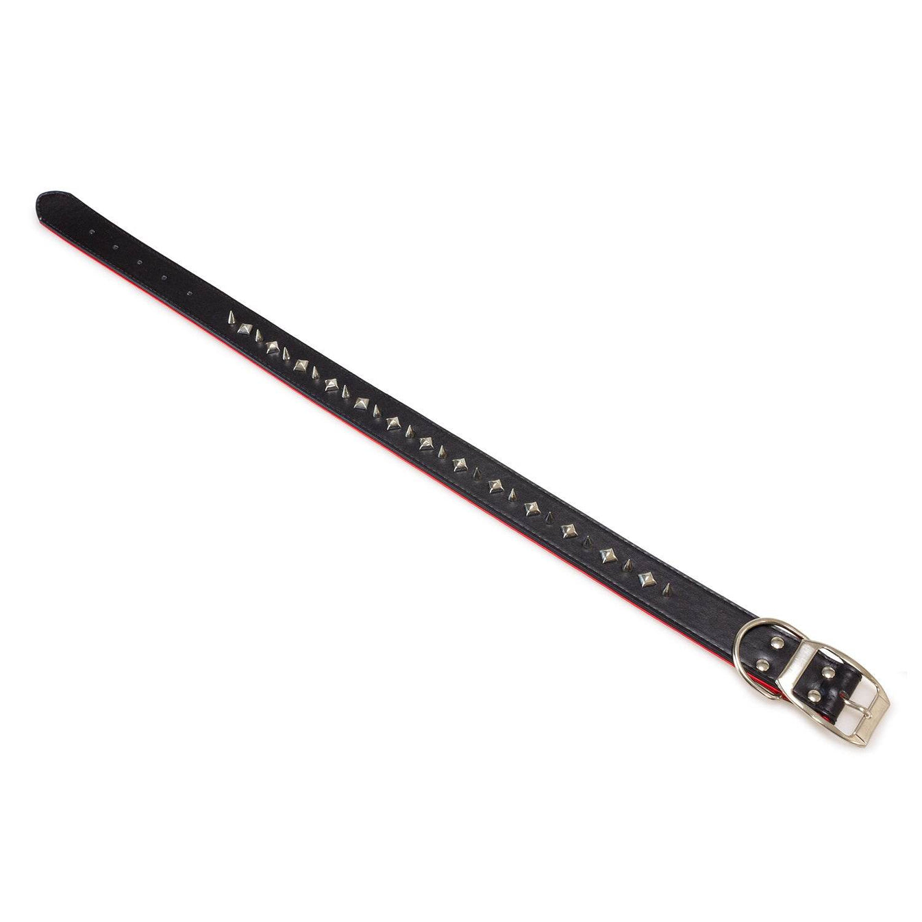 Collar de piel con puas negro - Arquivet