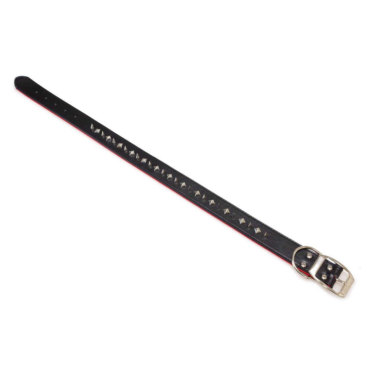 Collar de piel con puas negro - Arquivet