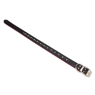 Collar de piel con puas negro - Arquivet