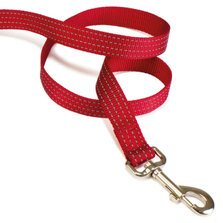 Correa de nylon roja 2,5 x 120 cm - Arquivet
