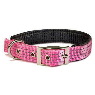 Collares de nylon - Arquivet