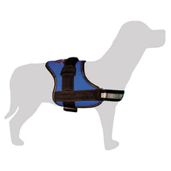 Arnés acolchado para perro - Arquivet