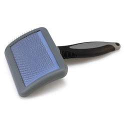 Carda especial con púas metálicas - Arquivet